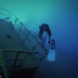 Wrack eines Kohleschiffs, das vor fast 100 Jahren im Bermudadreieck verschwand ...