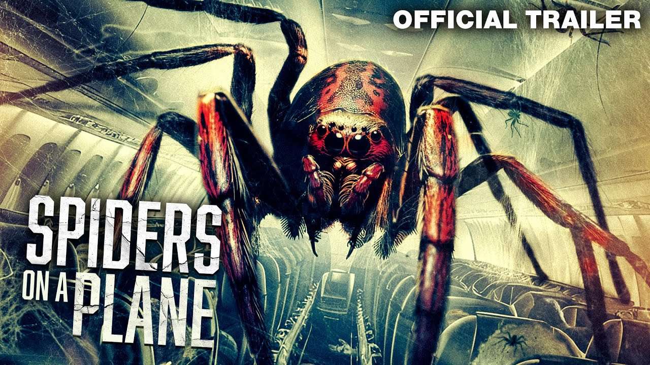 Spiders on a Plane (2024)